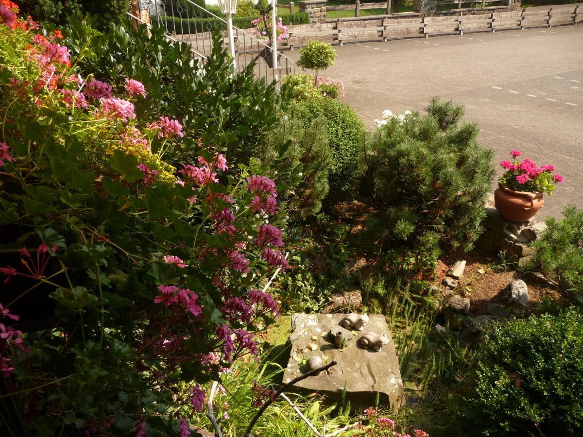 Hotel "Woiler Hof" Garni Eslohe Kültér fotó